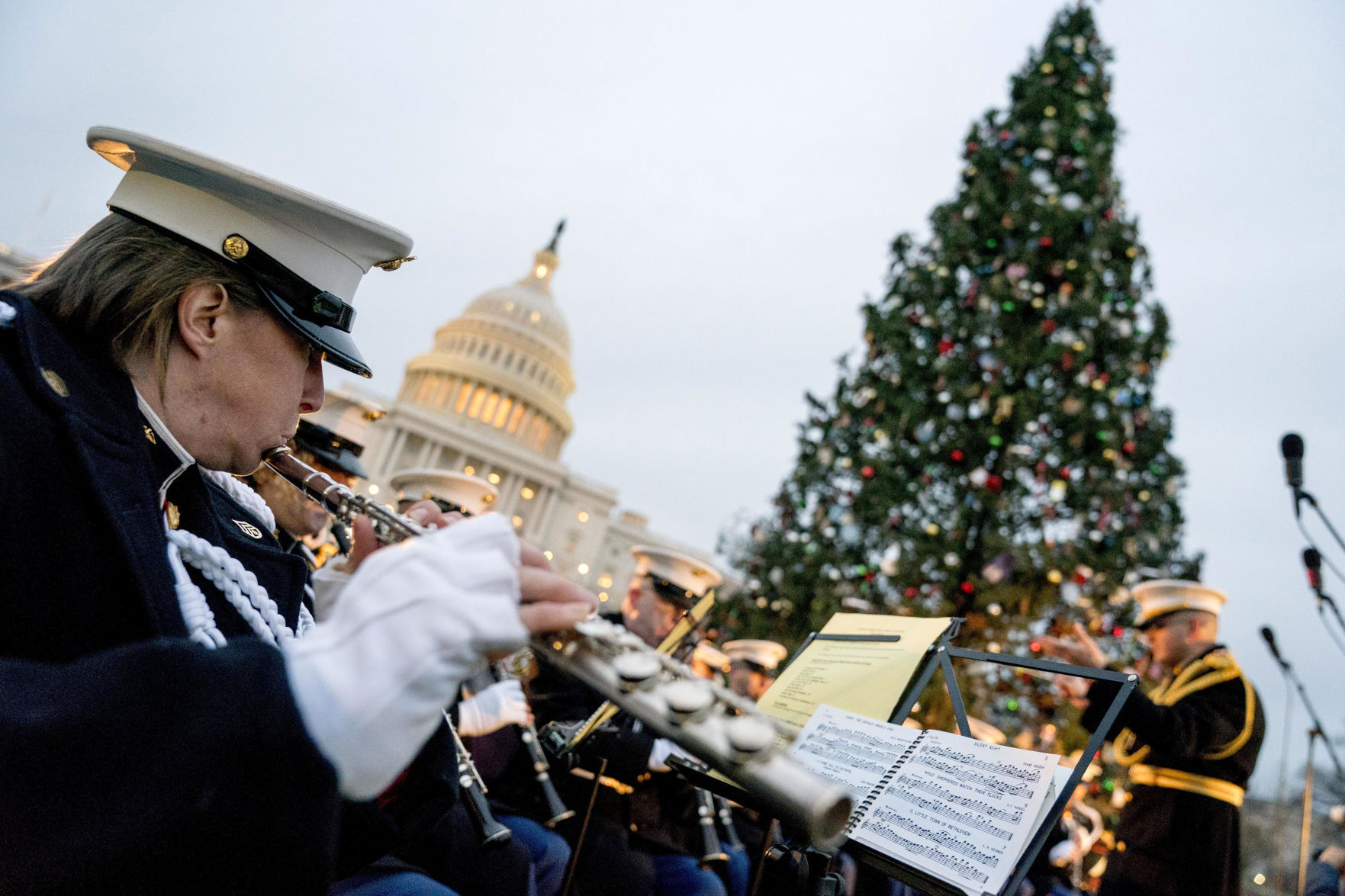 Capitol Christmas Tree Lighting